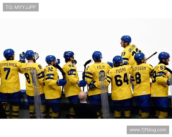 俄罗斯在国际桑搏格斗赛中包揽六个级别金牌展现强大实力